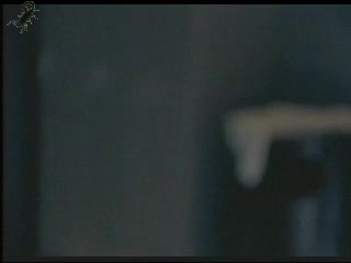 Amber Newman screentime from Sex Files Alien Erotica II
