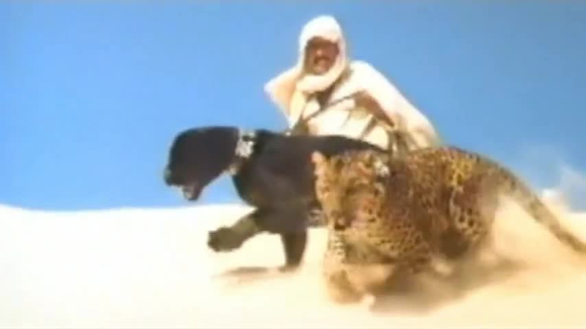 Brooke Shields scene from Sahara 1983