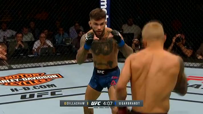 Watch Cody Garbrandt Vs T.J. Dillashaw 2 @ UFC 227 video