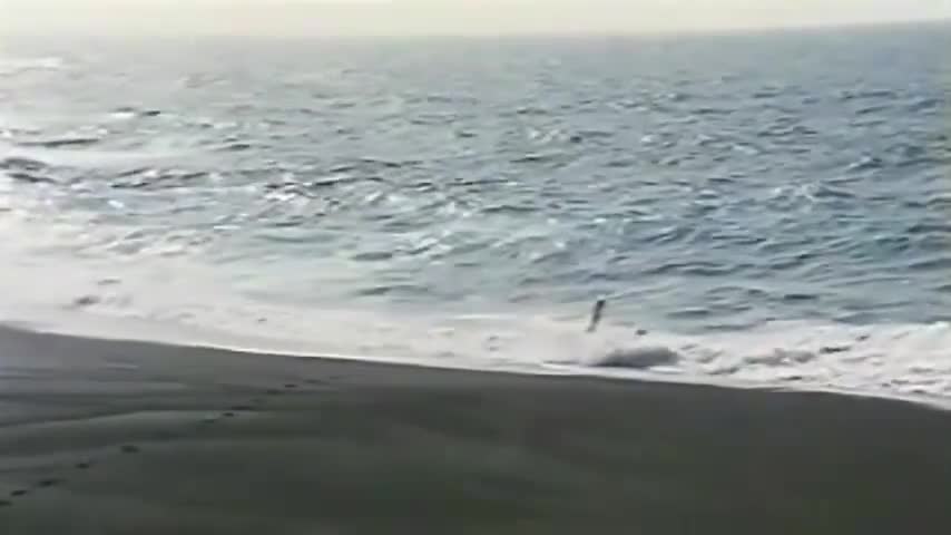 Dorothee Wider screentime in playa azul