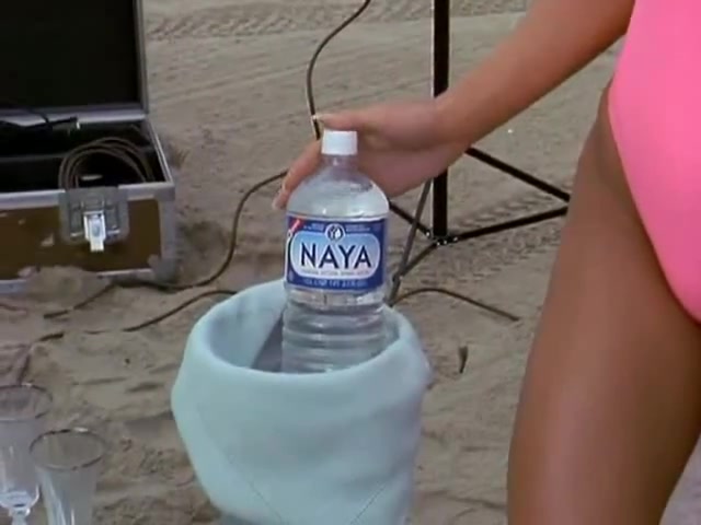 Donna D'Errico sexy scene - Baywatch Nights