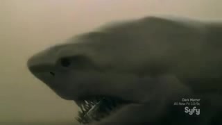 Sloane Coe must watch clip - Zombie Shark