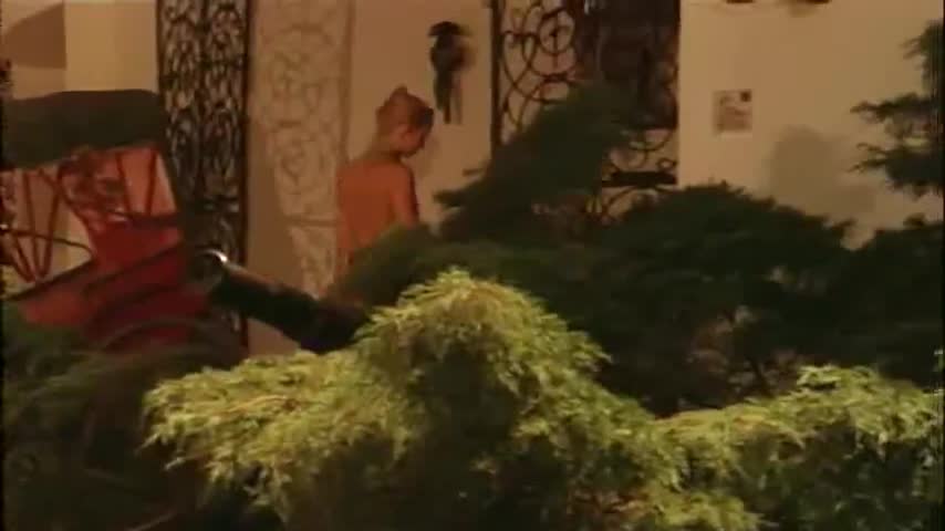 Brigitte Strobel sexy scene - Sylvia im Reich der Wollust